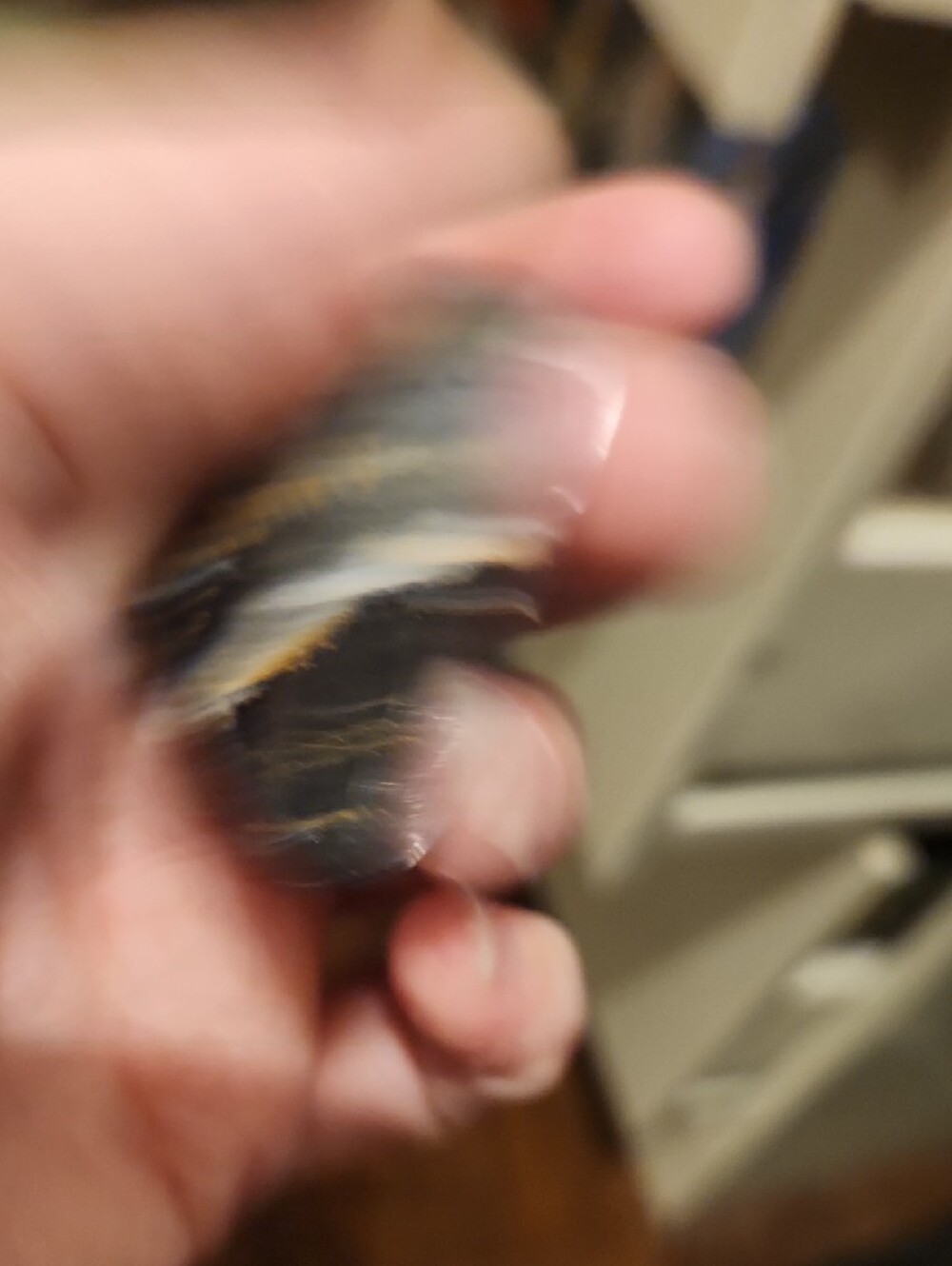 Blue Tiger's Eye - Picture 7 of 7